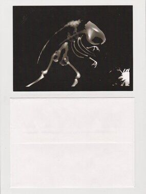 Specimen: Ondatra eudibamis POSTCARD (Photogram, 2012) 5x7